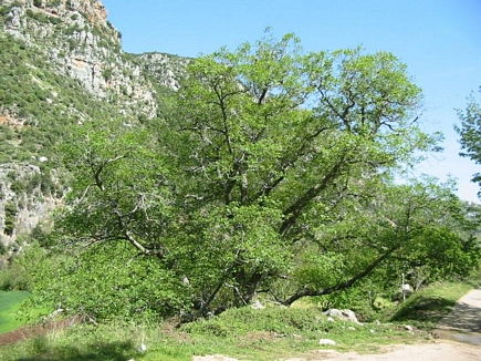 Jahannam Valley, Akkar